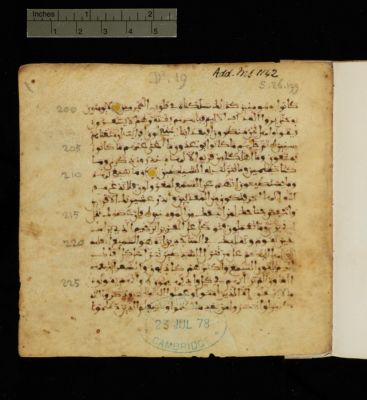 Cambridge MS Add.1142 — Qur'an fragment, 10–11th c. (Maghrib / al-Andalus)