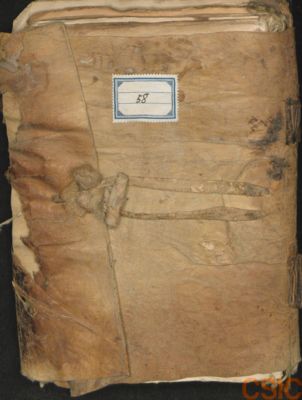 CSIC_Junta_001227722