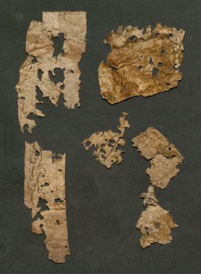 Spain CSIC 990012278730204201_V01 — [Carpetas de papeles sueltos]. Vol. 01