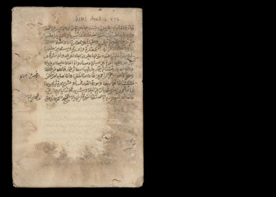 Wellcome MS Arabic 474 — Ibn al-Bayṭār, Majmaʿ al-manāfiʿ al-badaniyya (medicine)
