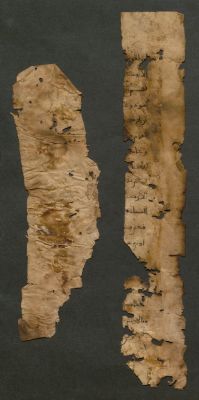 Spain CSIC 990012278630204201 — [Carpetas de papeles sueltos]
