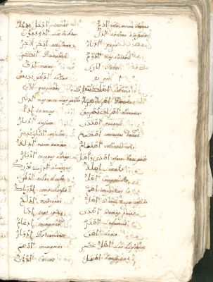 Spain CSIC 990013504440204201 — León, Tomás de (S.I.) : Thesauro arabicae