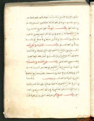 Spain CSIC 990013504400204201 — Ḍaḥḥāk b. Muzāḥim al-, (m. 723 ó 4). : [مجموعة مؤل