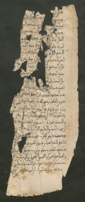 Spain CSIC 990012274650204201_V02 — ابو عمَر يوسُف بنْ عبْد اللهِ بنْ عبْد البَر النمر