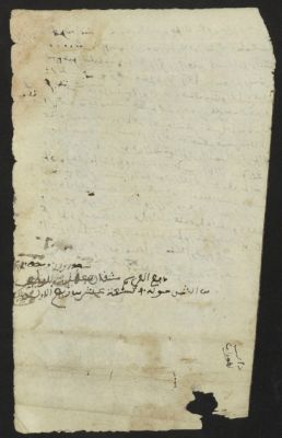 Spain CSIC 9917880799604201 — Ḥazamī, ‘Abd al-Karīm b. ‘Abd al-Salām b. ‘Alī al