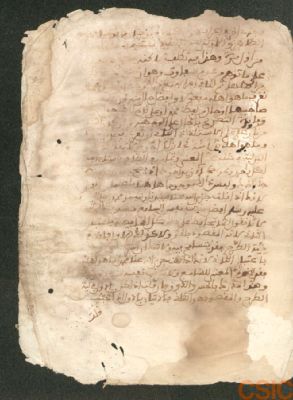 Spain CSIC 990013543450204201 — [نص عن قواعد اللغة] ‭