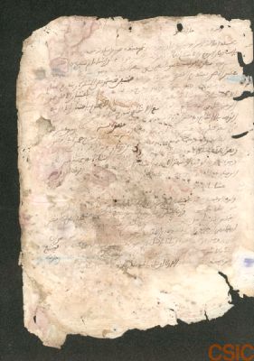 Spain CSIC 990013545970204201 — [نص عن قواعد اللغة] ‭