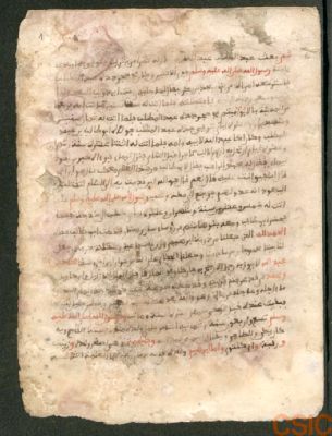 Spain CSIC 990013532630204201 — أحاديث عن رسول الله ص٠ ‭