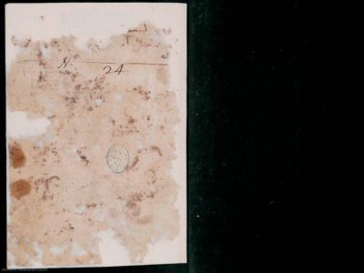 BNE MSS/5252 — Tratado y declaración y guía para seguir y mantener el Ad-dīn del al-Islam