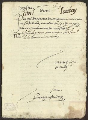 PARES OSUNA,C.596,D.35 — Alegación sobre la curatela que Miguel Amira, morisco de Llombai (València), ejercía sobre Gaspar Pacha.