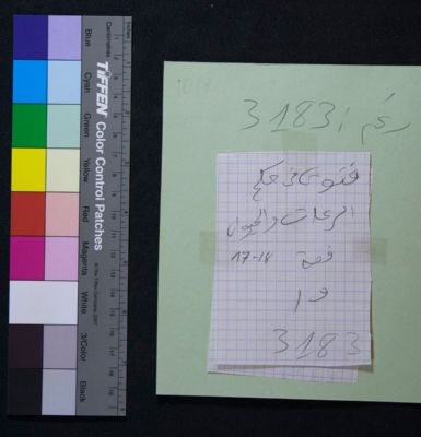 EAP913/1/46 — Fatwā fī al-riʿāʾ wa-l-ḥayawān (Yattara, Timbuktu)